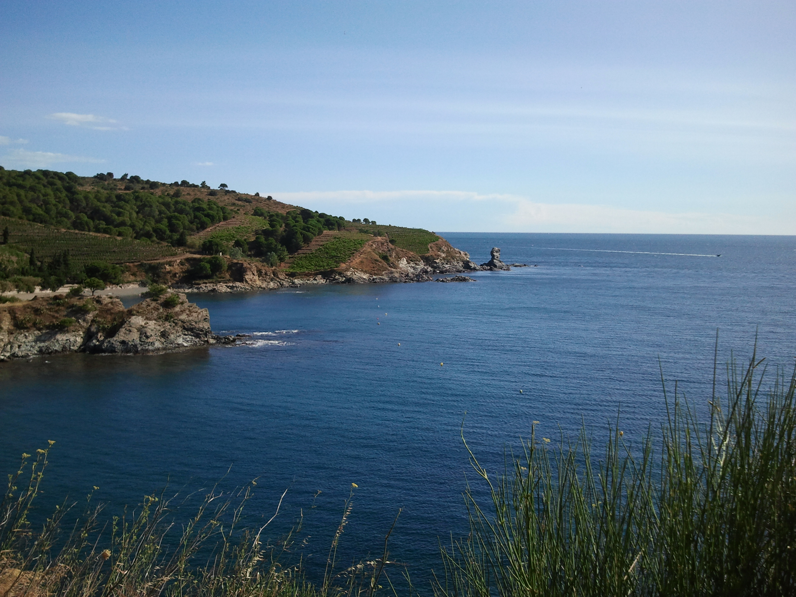 Sortie Club De Mars à Banyuls Le 20 Mars 2016