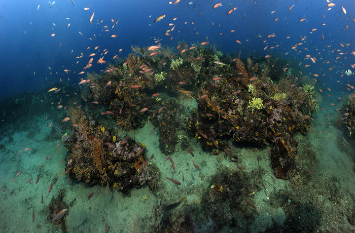 La Mer Méditerranée Sous Haute Surveillance-Fête De La Science